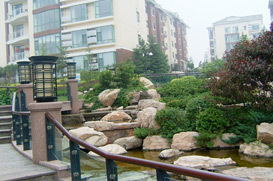 青岛太行园林 匠心筑景，绘就城市生态画卷